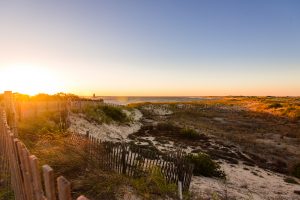 The Point at Cape Henlopen State Park is shown from the viewpoint of green and tan vegetation along beach dunes looking toward the Delaware Bay with the Breakwater Lighthouse in the distance.