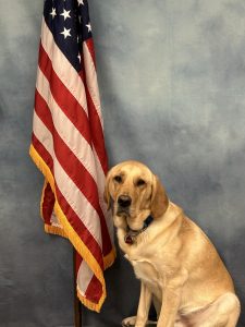 K9 Ajax